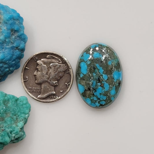 Kingman Turquoise